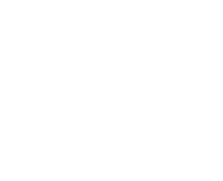 dream castle logo