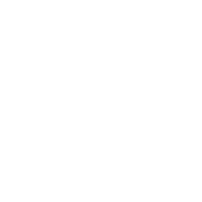 spirit of gamer logo